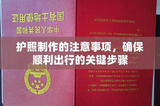 星子护照制作的注意事项，确保顺利出行的关键步骤